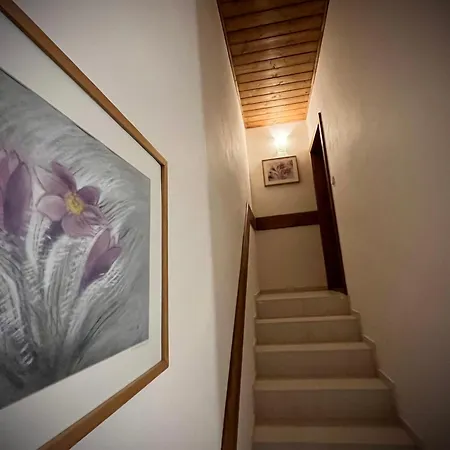 Apartment Horec Demanovska Dolina